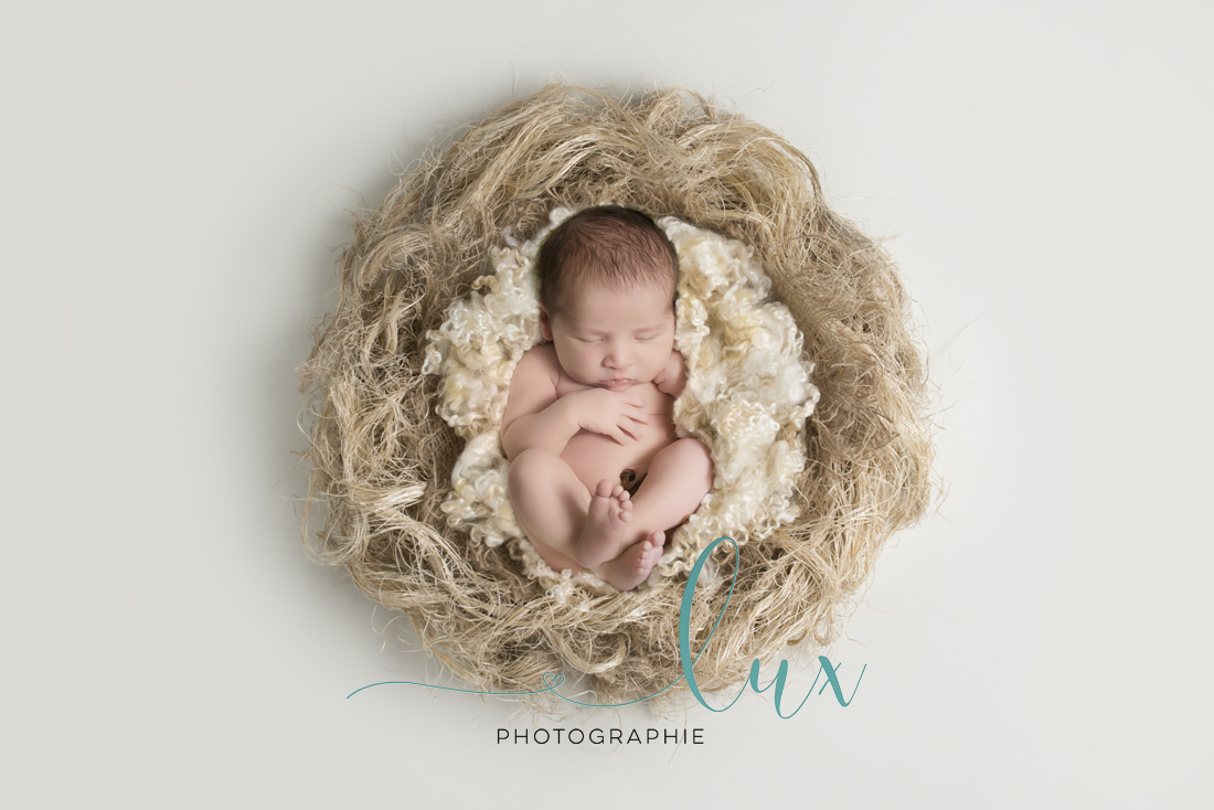 Newborn photography montreal. Newborn sleeping in a basket.