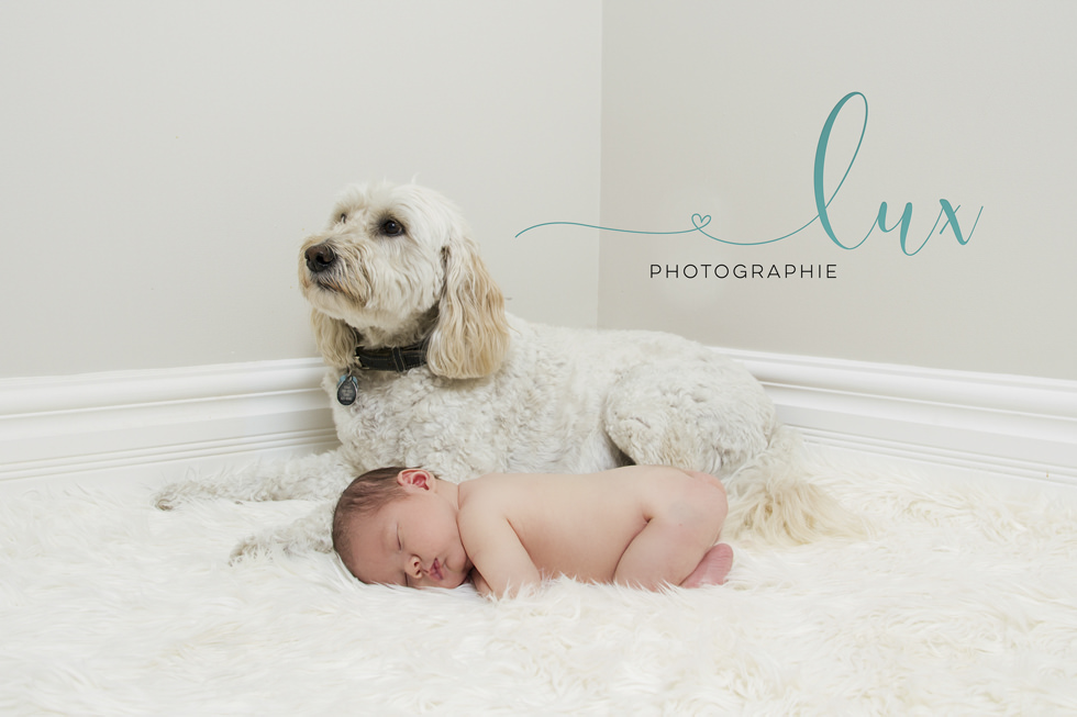 Montreal baby photography. Baby sleeping on the floor next to dog.